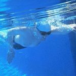 how to improve your triathlon swimming technique